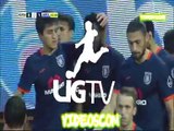 Adanaspor 1-1 Basaksehir - All Goals & Highlights HD 24.12.2016