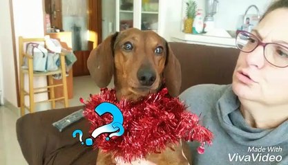 Buon Natale a Tutti!!!