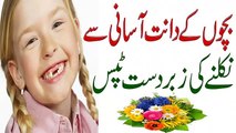 Bachon Ke Dant Aasani Se Nikalne Kelye Zabardast Tips in Urdu