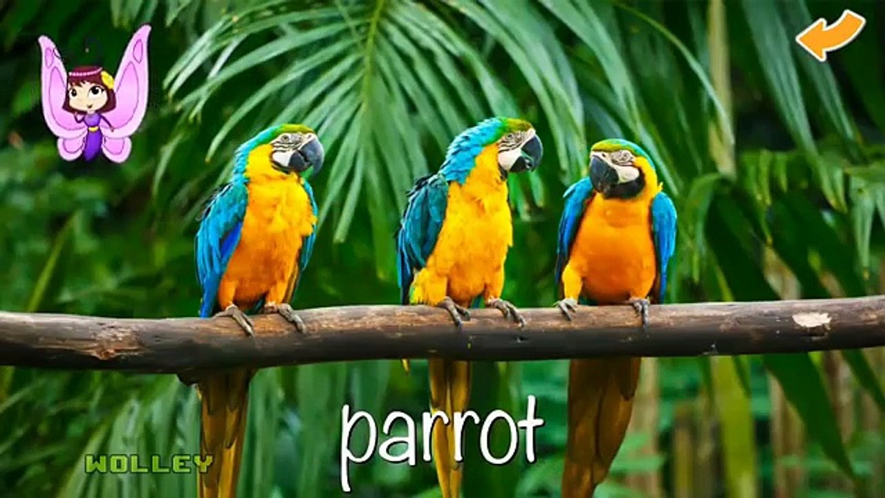 Kids Learn Farm and Wild Animals Names & Sounds | Educational Games For Toddlers