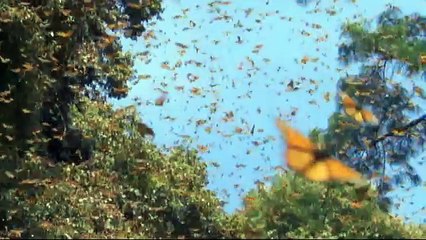 Enigma - Temple Of Love (HD)-XDPGohgpaLc-HQ