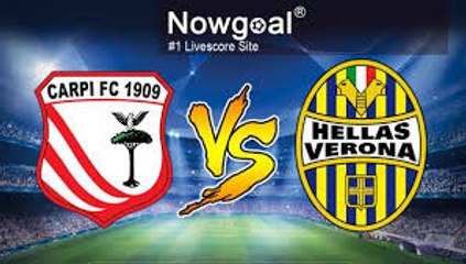 All Goals & Highlights HD - Carpi 1-1 Verona - 24.12.2016