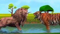 Finger Family Lion Vs Elephant Cartoons For Children Nursery Rhymes | Lion Vs Tiger Finger Family