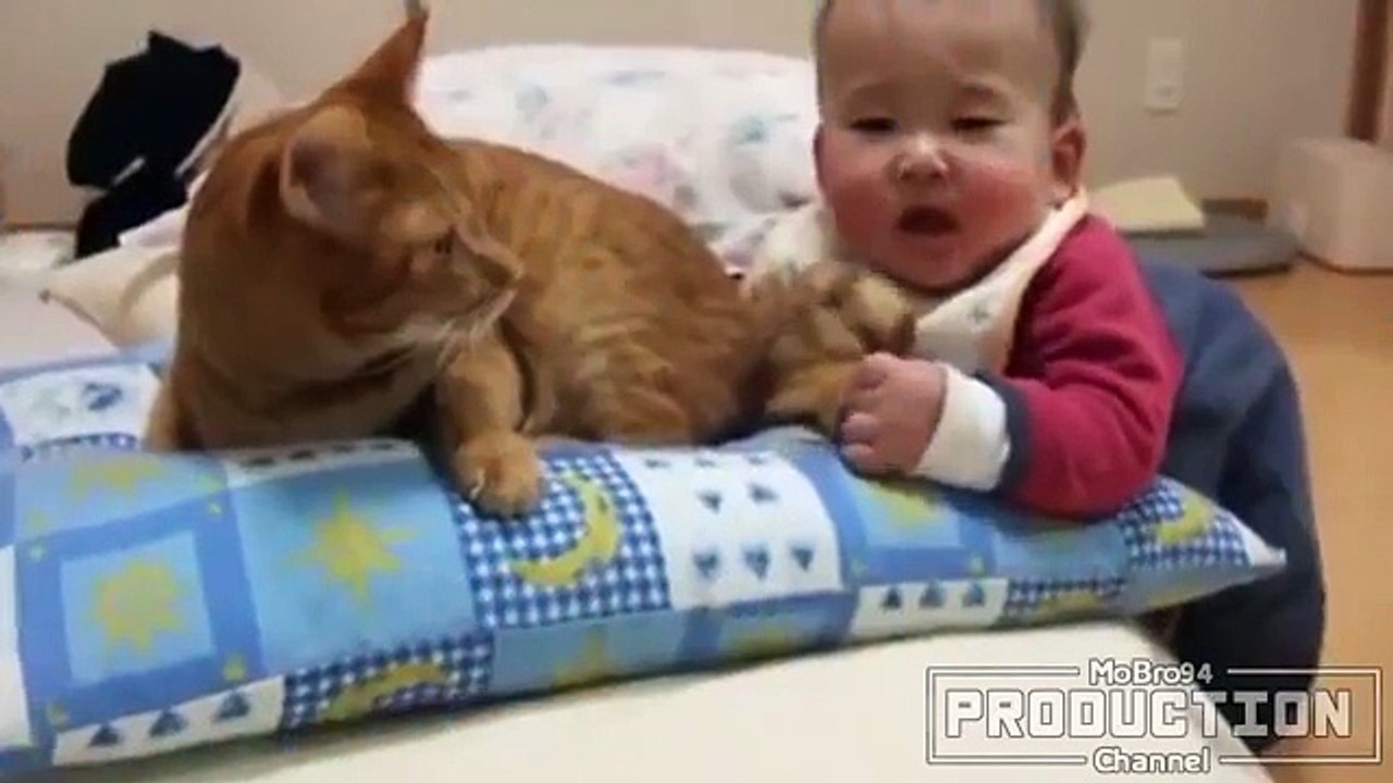 Babies-annoying-cats--Funny-baby--cat-compilation