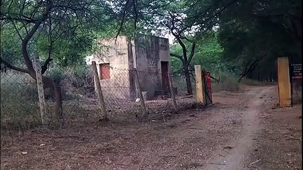 जब लोगो को जंगल में भूत से आमना सामना हुआ कृपया कमजोर दिल वाले न देखे। Ghost Caught in forest check post.