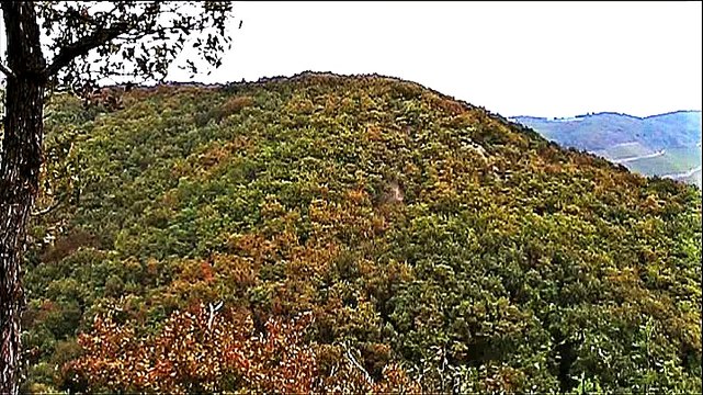 Auf großer Tour zum Hamm Blick