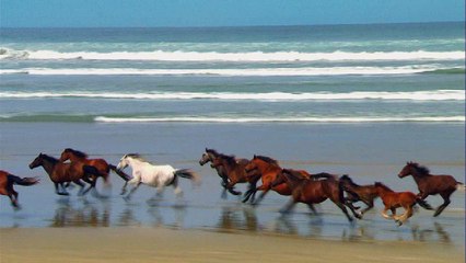 byler ilk videom Dailymotionda (sponsor değilim çaktırma dqwdwqd)