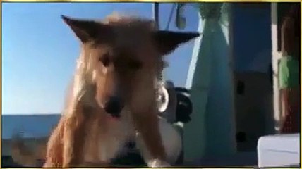 Video interesante dhe shumë domethënëse