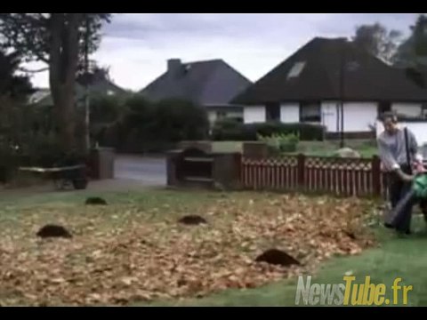 comment se debarrasser des taupes mdr