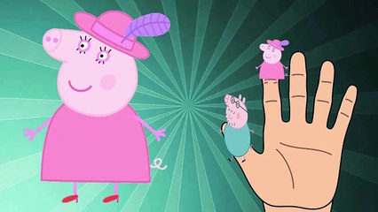 Peppa Pig Finger Family | The Finger Family Song  Nursery Rhymes Lyrics