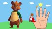 Disney Junior Goldie & Bear Finger Family - Disney Junior Goldie & Bear Kids Songs