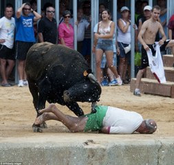 Crazy Bull Funny Fails-Funniest Clips