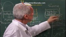 Kimya Ders 1 (YGS)- Madde Yapısı ve Hal Değişimi | www.ogretmenburada.com