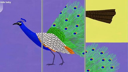 Animal Match Up - Learn The Names Of The Animals - Learn about birds