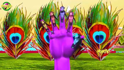 Animal Finger Family Songs || Lion Finger Family Songs || Bear Finger Family Songs