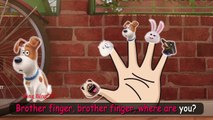 The Secret Life of Pets Finger Family | BingBing TV - Nursery Rhymes For Children