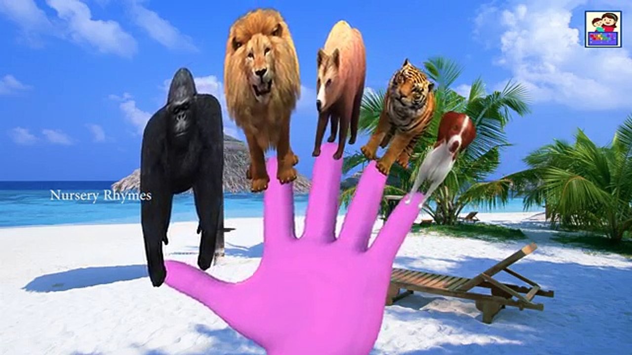 Finger Family Collection || FUNNY CARTOONS FOR KIDS || 3D Animations For Kids