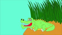 Meet the Crocodile - Animals at the Zoo - Learn the Sounds Zoo Animals Make