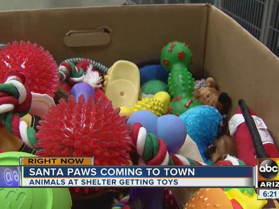Dogs, cats at shelter get toys for Christmas