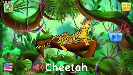 Kids Learn Animals Sea,Wild And Farm | Animals Puzzle for Kids