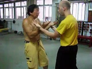 Chiu Chi Ling Hung Gar Kung Fu