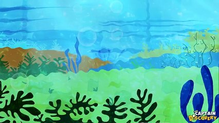 12345 Once I Caught A Fish Alive | Kid Songs With Lyrics | Kids Rhymes by Captain Discovery