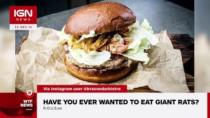 RAT BURGERS GAINING POPULARITY IN RUSSIA