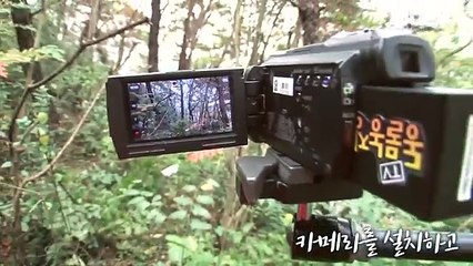 Xúc động gia đình mẹ con chó lang thang được người dân cứu giúp