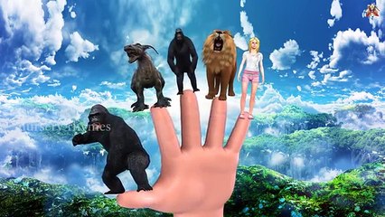 Finger Family || WILD BEAST,KING KONG,LION Version || Nursery Rhymes and Baby Songs