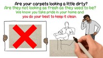 Professional Carpet Cleaning Services | Care-O-Carpet (All over Auckland)