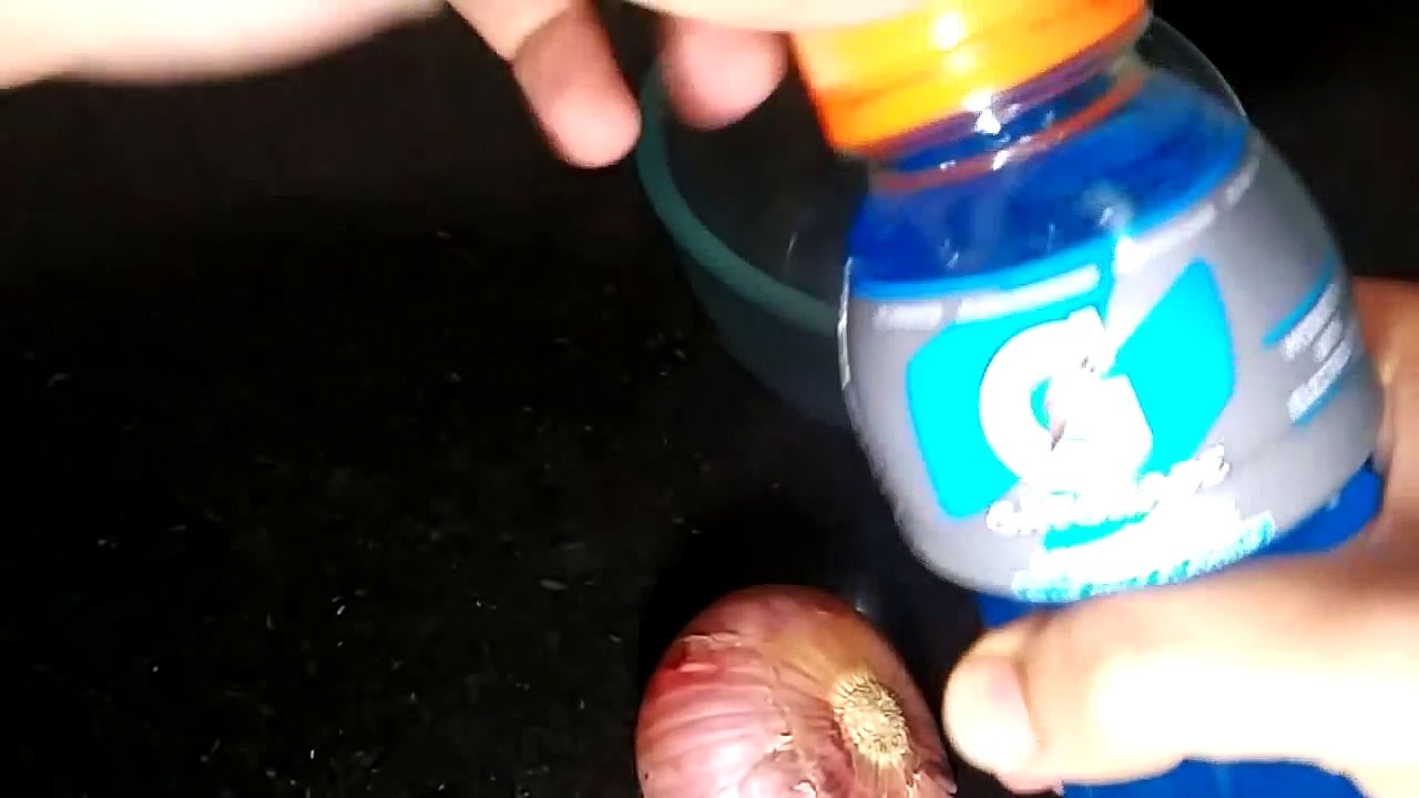 mobile charging try onion