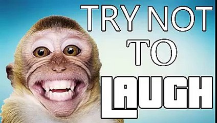 Try Not To Laugh - Latest funny videos 2017