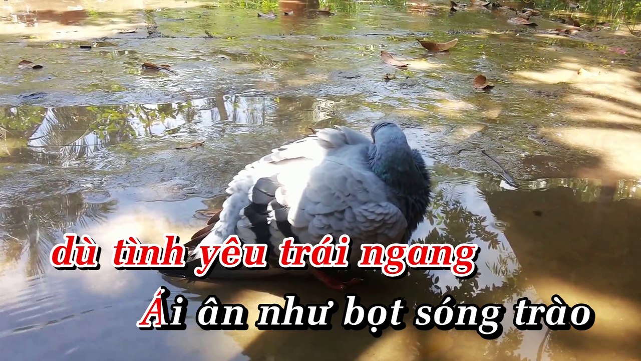 Ánh Trăng Lẻ Loi | Loan Châu | Karaoke Beat HD