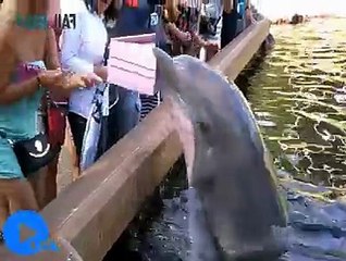 Cant Stop Laugh Funny Failed Compilation