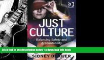 BEST PDF  Just Culture: Balancing Safety and Accountability TRIAL EBOOK