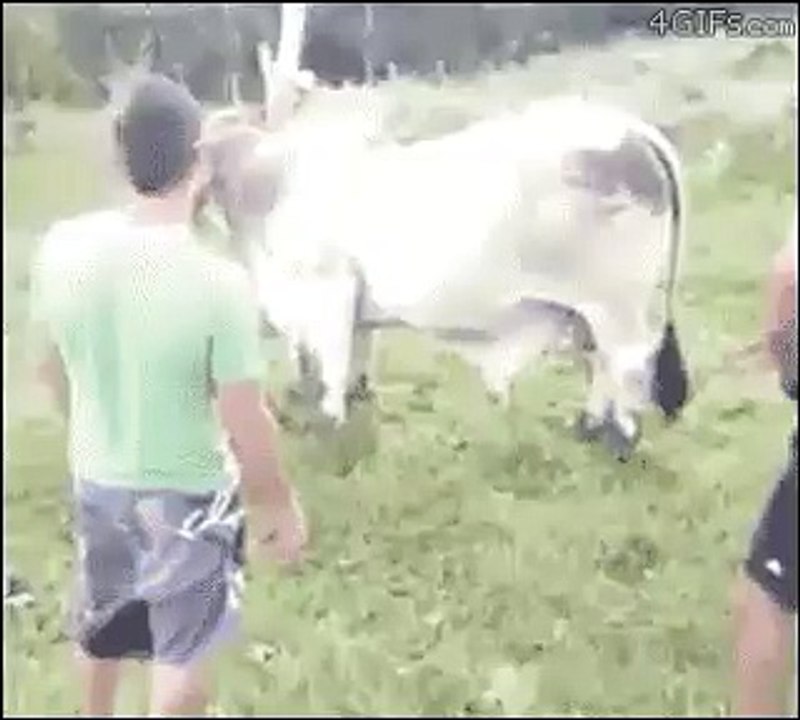 Funny help me