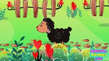 Baa Baa Black Sheep – Nursery Rhymes Club for Babies & Children!