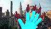 Spiderman Vs Batman Cartoons Singing Finger Family Children Nursery Rhymes | Epic Rap Battles