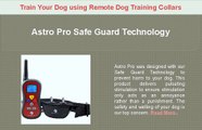 Train Your Dog using Remote Dog Training Collars