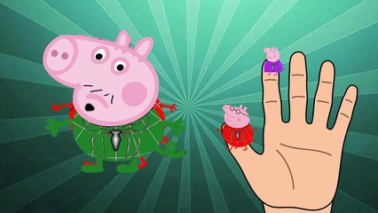 Peppa Pig Spider-Man Finger Family  Nursery Rhymes Lyrics and More