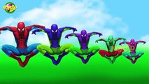 Spiderman Vs Hulk Finger Family || Cartoon Finger Family Rhymes || Top 1 Cartoon Animated Rhymes