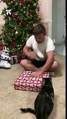 Il reçoit son cadeau de Noël et se fait violemment agresser par son chat