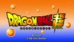 Dragon Ball Super 073 VOSTFR (Preview)