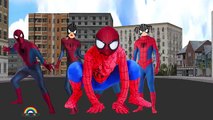 Spiderman Finger Family Songs Collection / Daddy Finger Family Nursery Rhymes Lyrics For Children