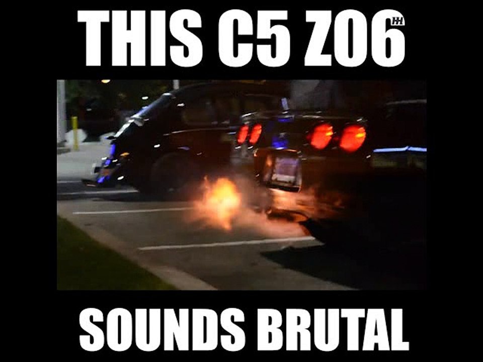 This thing is savage!