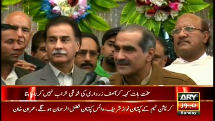 Don't want to spoil Zardari's jubilance through harsh words: Saad