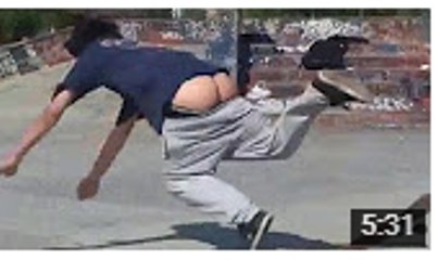 Funny videos 2016 Animals funny vines try not to laugh challenge