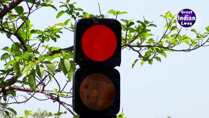 এইরকম মেয়েদের এমন শিক্ষাই দেয়া উচিৎ