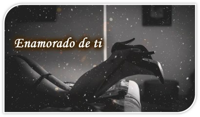 Renex L.E.D - Enamorado de ti (Audio)