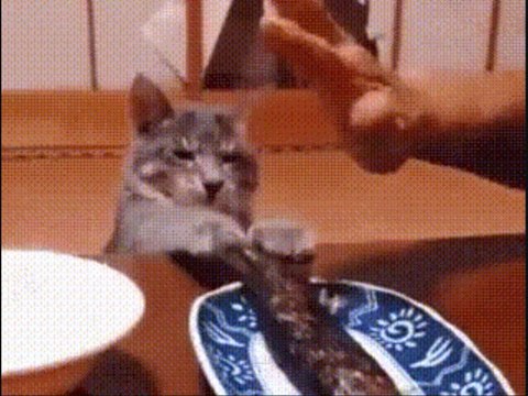 Когда нельзя, но очень хочеться